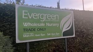 Evergreen Wholesale Nursery